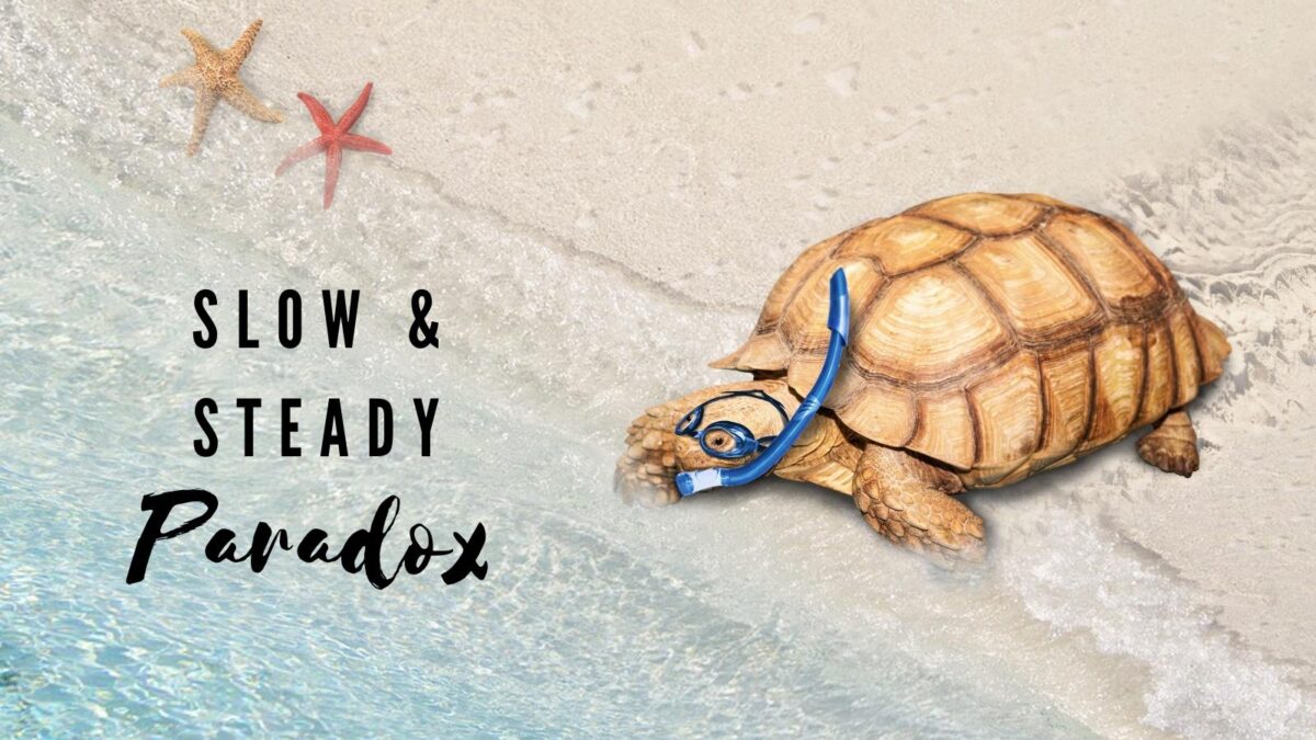 small biz paradox of the turtle as shown in this picture