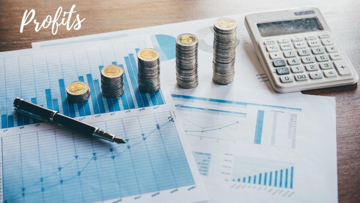 what are business profits