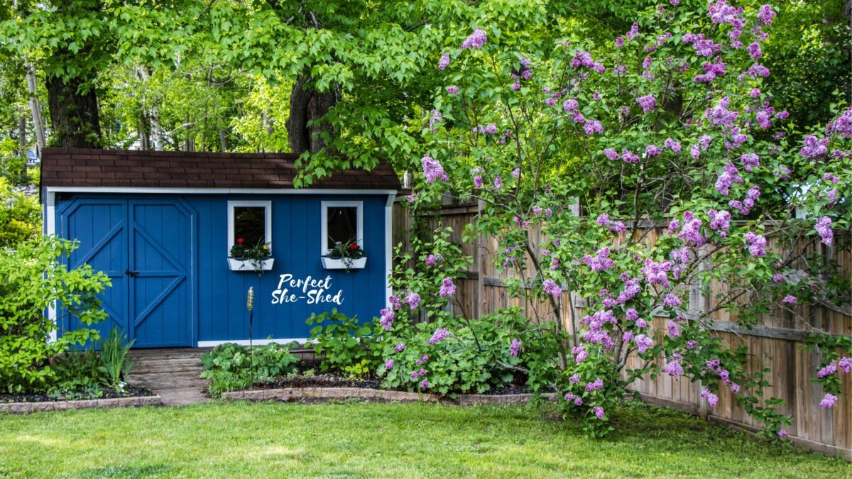 she shed office ideas