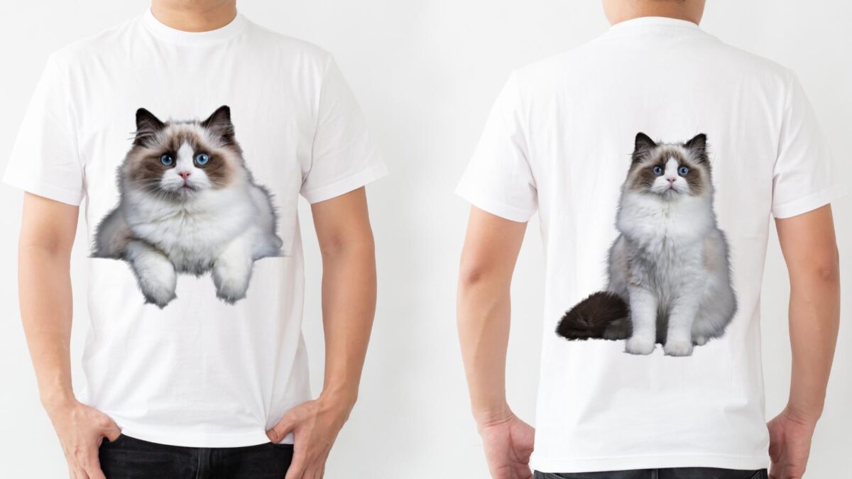 cat t-shirts
