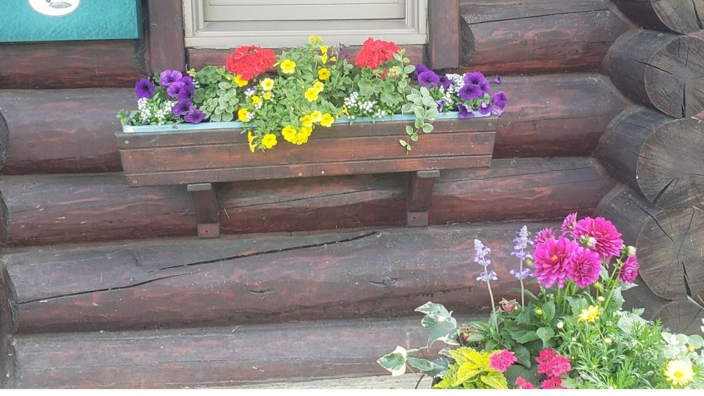 more ideas for window boxes