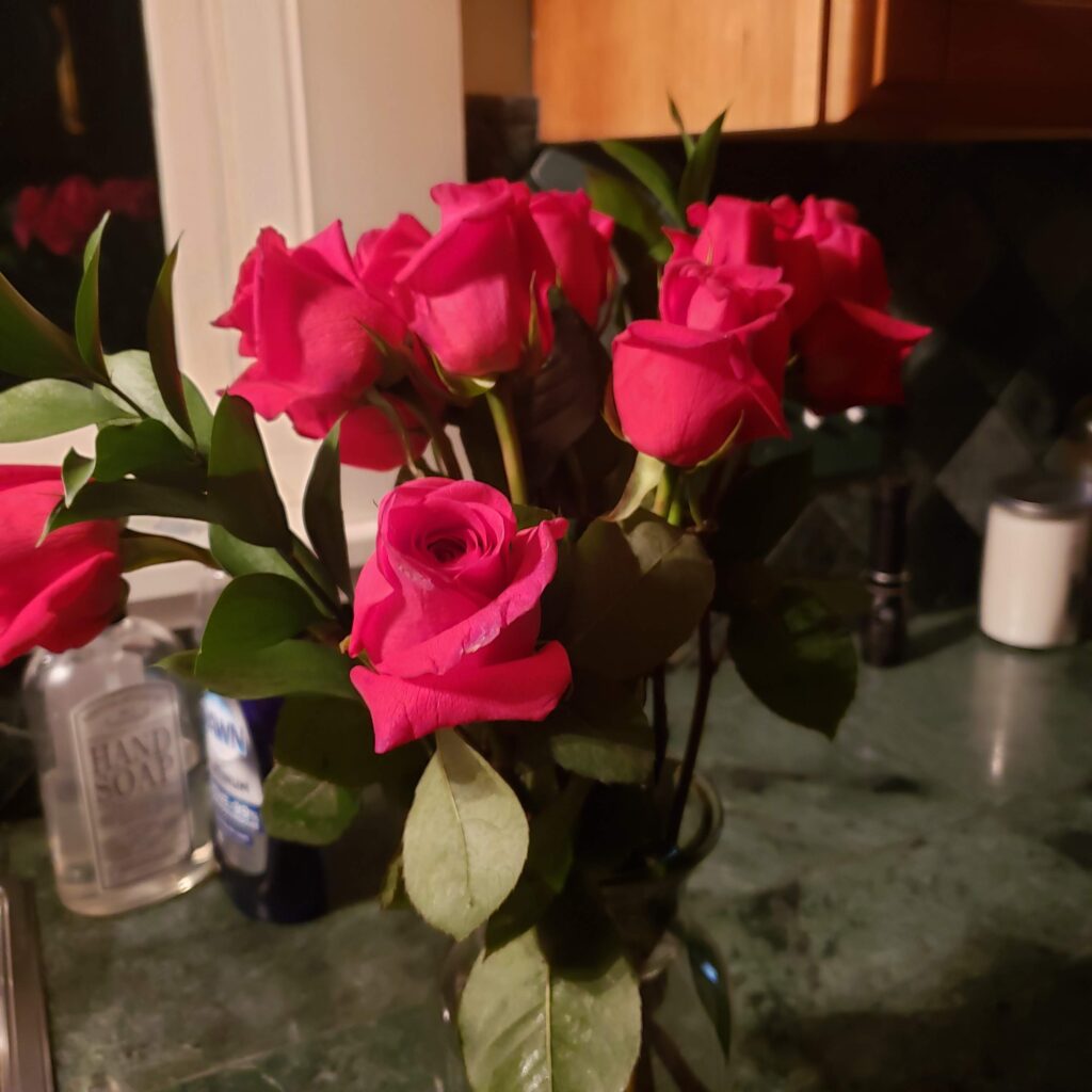 roses from Chewy pet store