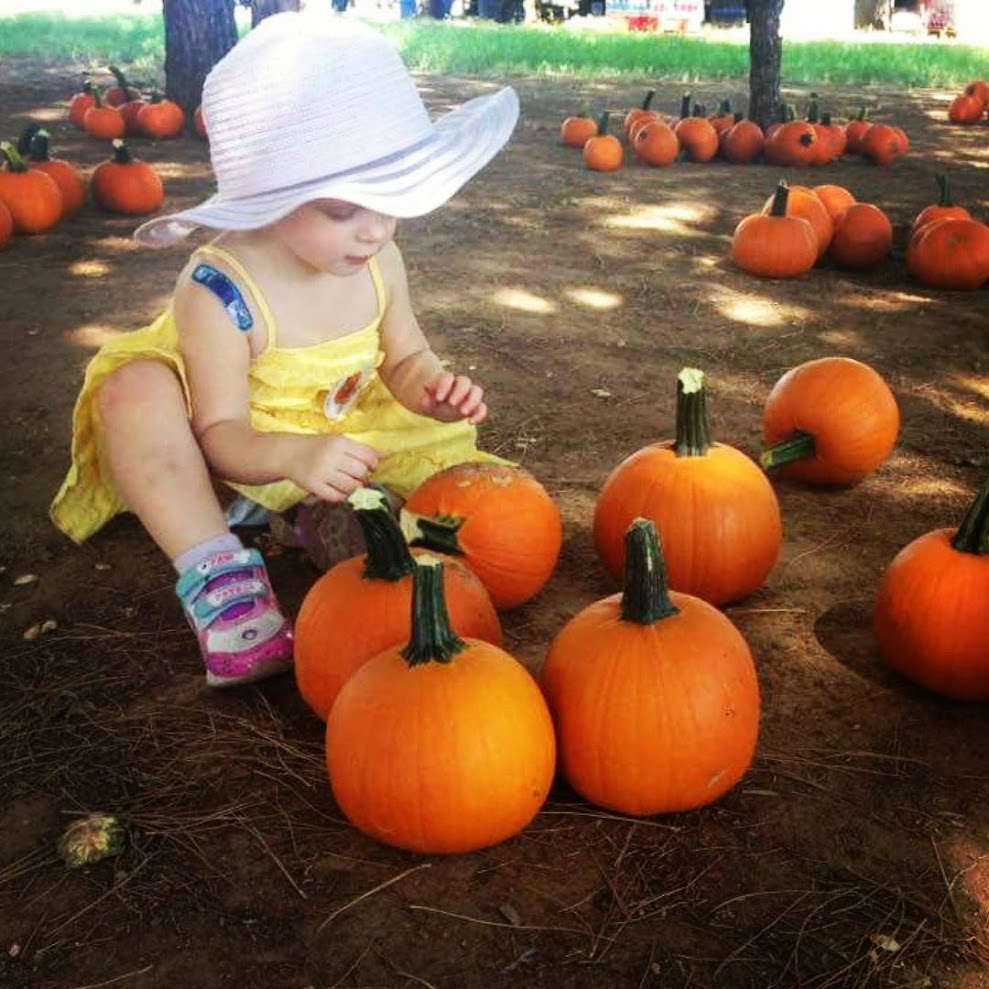 gardening niche for pumpkins