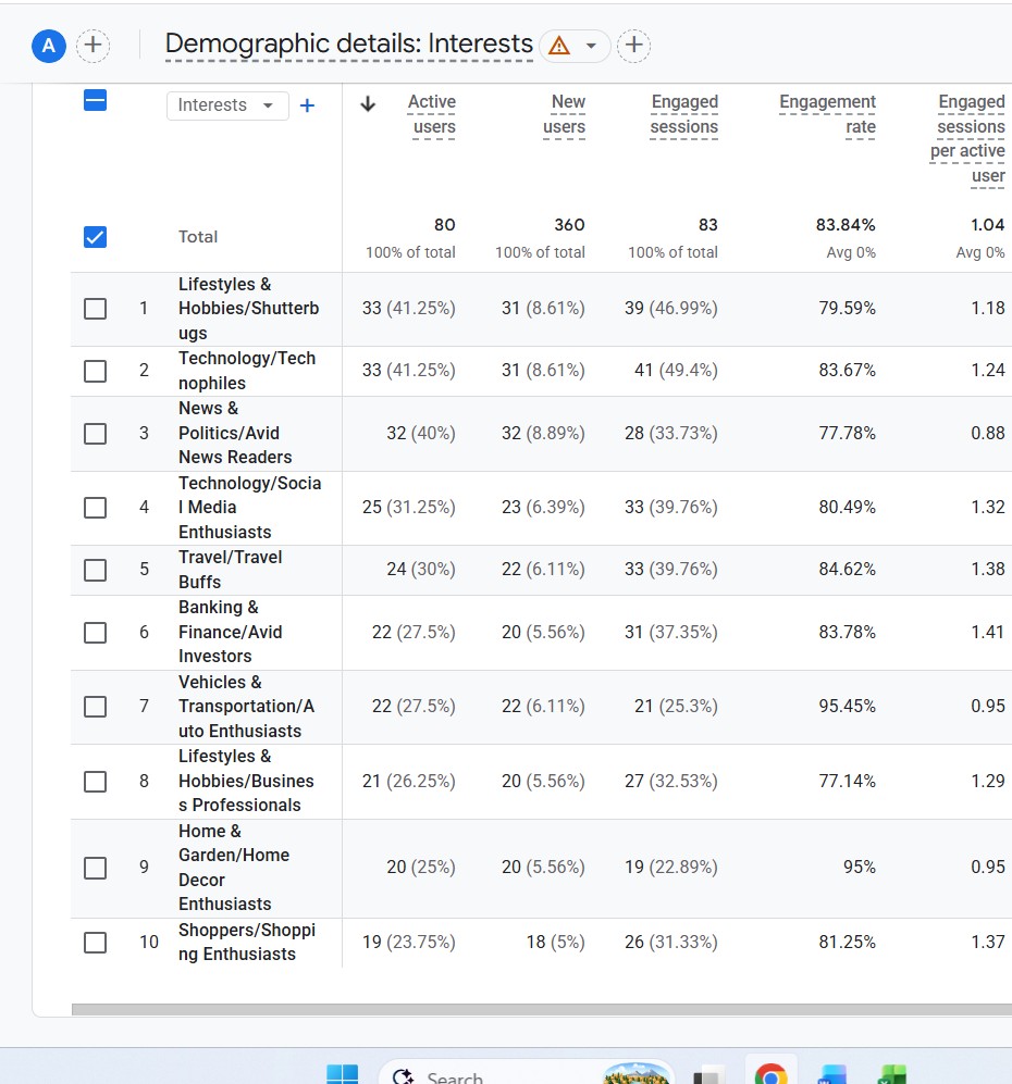 demographics of users from Google data analytics